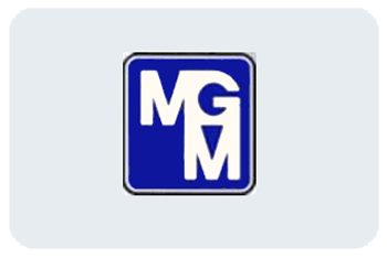 MGM Motori elettrici